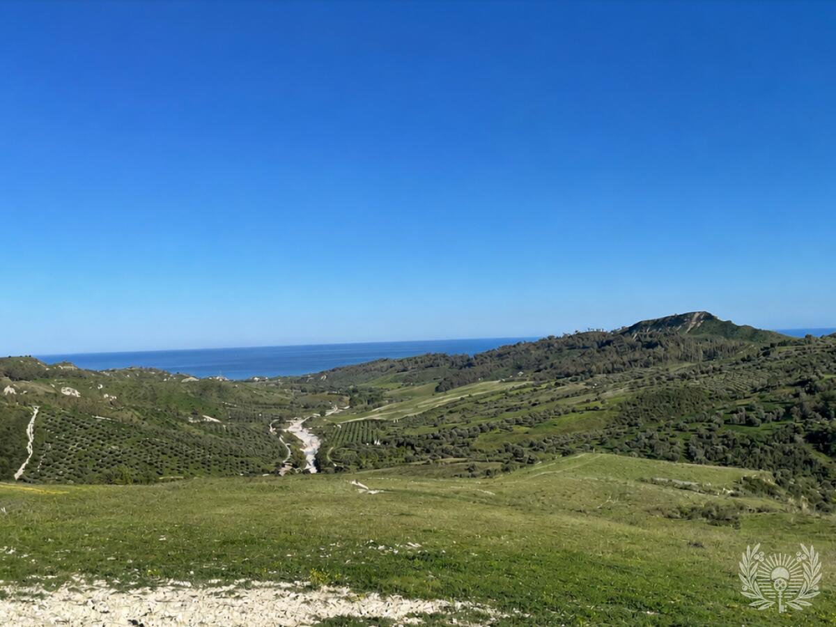 Terreno 7.440 m² vista mare con uliveto e rudere in Calabria