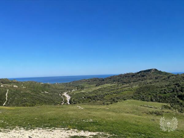 Terreno 7.440 m² vista mare con uliveto e rudere in Calabria